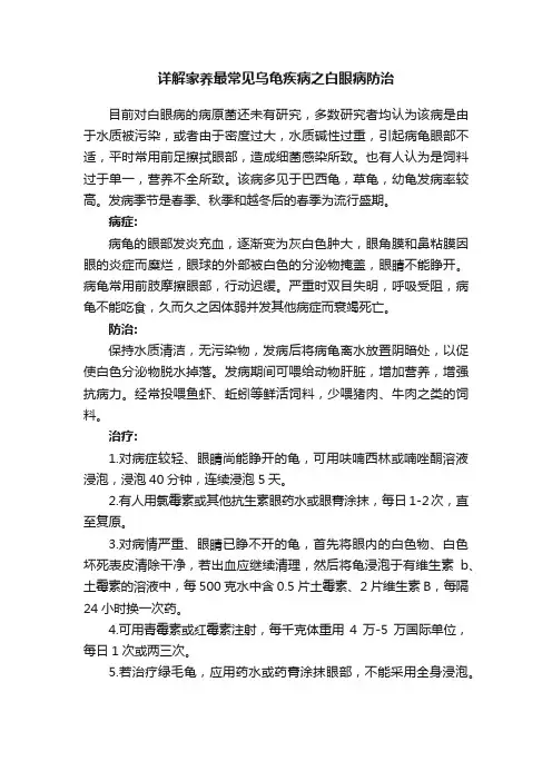 详解家养最常见乌龟疾病之白眼病防治