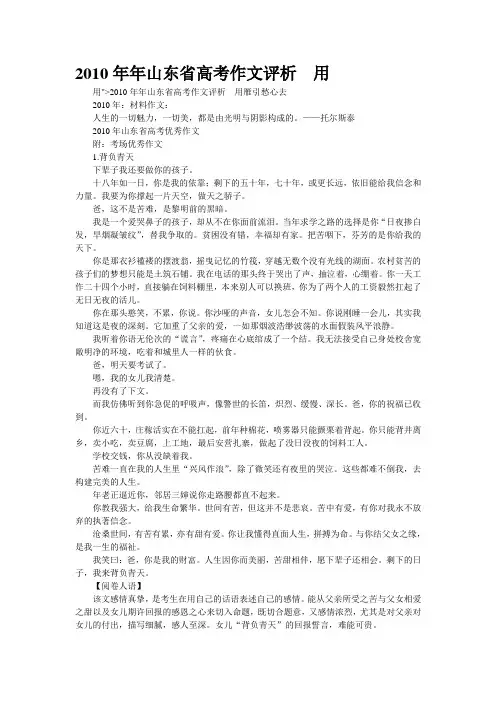 重点名校高考作文备考--2010年年山东省高考作文评析  用(精校完美打印版)