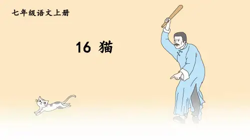 第16课《猫》课件(20张PPT)++2022-2023学年部编版语文七年级上册