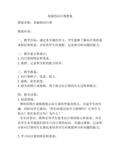 美丽的向日葵教案