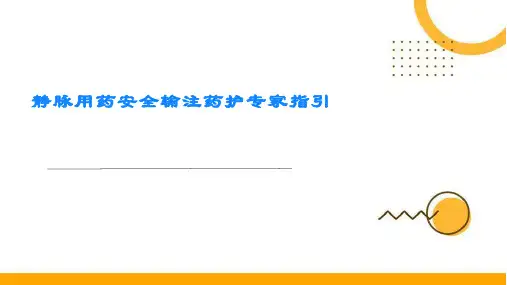 静脉用药安全输注药护专家指引