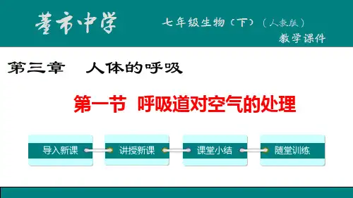 4-3-1  呼吸道对空气的处理