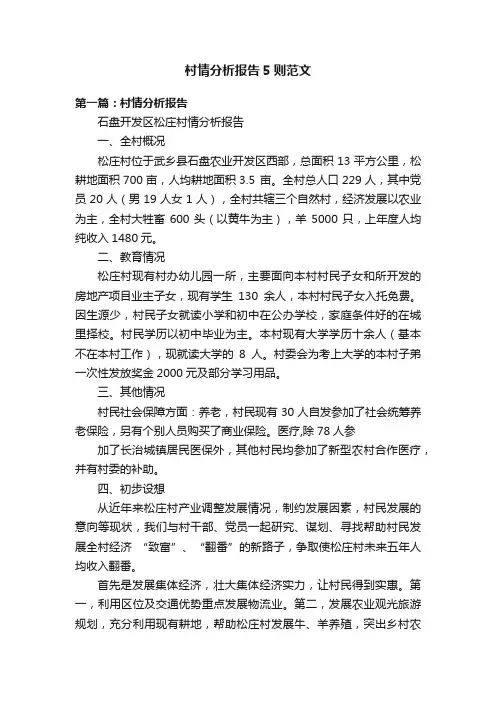 村情分析报告5则范文