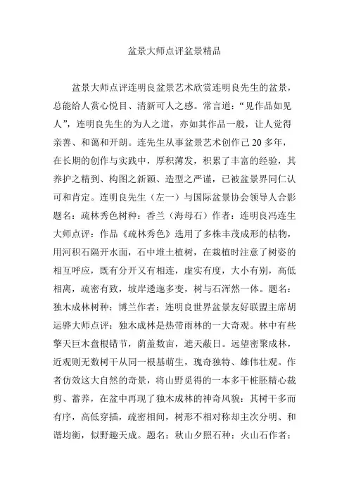 盆景大师点评盆景精品