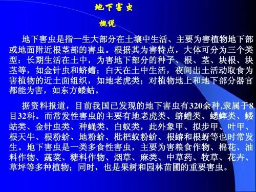 地下害虫