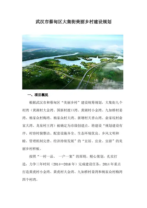 蔡甸区大集的发展规划