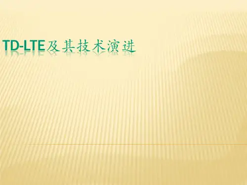 TDLTE技术培训知识资料