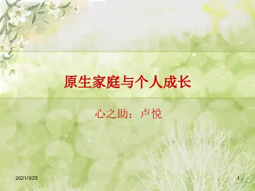 原生家庭与个人成长PPT课件
