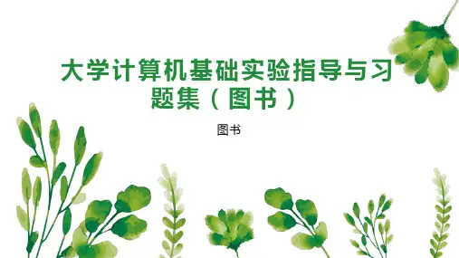 大学计算机基础实验指导与习题集(图书)