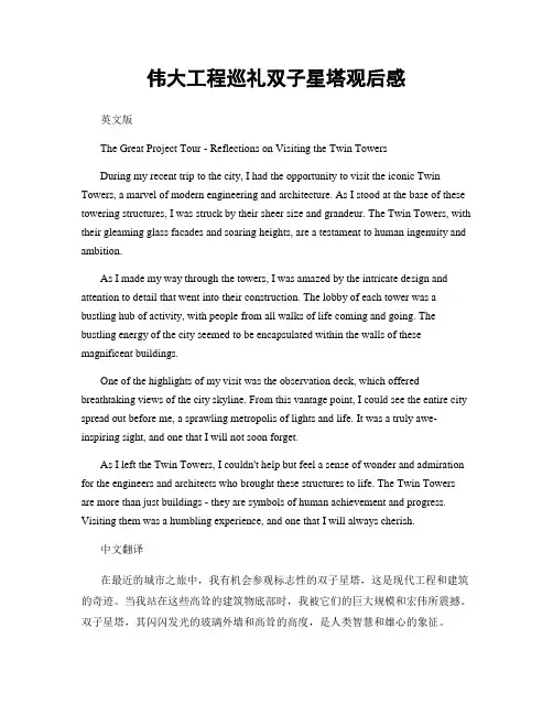 伟大工程巡礼双子星塔观后感