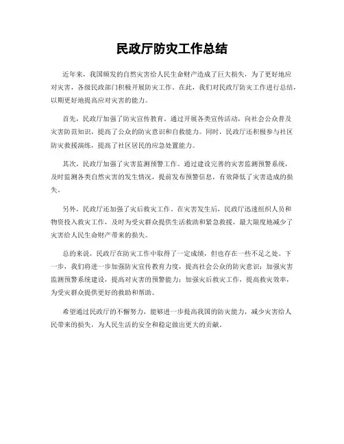 民政厅防灾工作总结