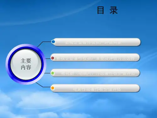 影视企业著作权资产评估实务与案例分析