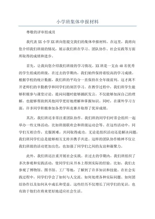 小学班集体申报材料
