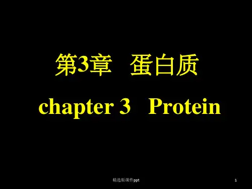 氨基酸的分类和性质