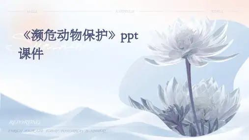 《濒危动物保护》课件