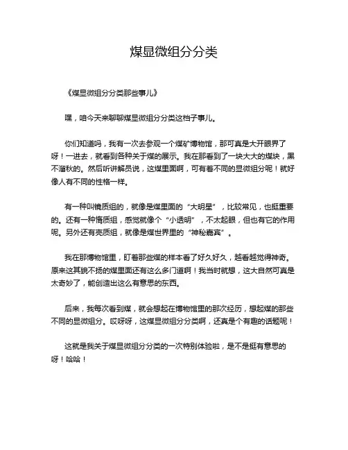 煤显微组分分类