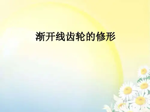 齿轮修形PPT课件
