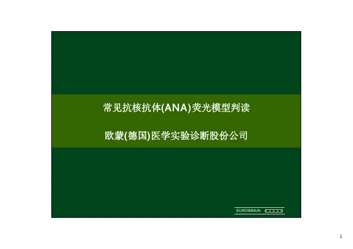 ANA检测