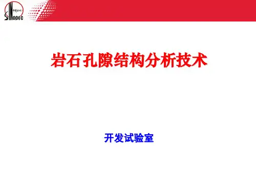 岩石孔隙结构分析技术