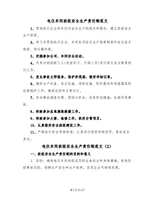 电仪车间班组安全生产责任制范文(2篇)