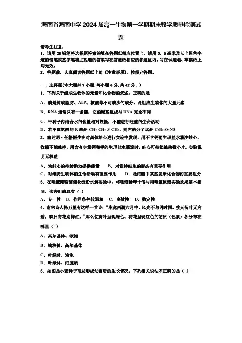 海南省海南中学2024届高一生物第一学期期末教学质量检测试题含解析