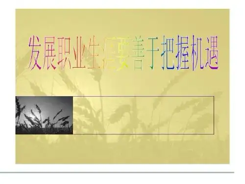 发展职业生涯要善于把握机遇课件