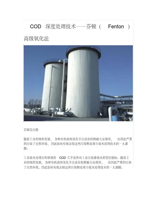 新版芬顿COD深度处理技术.pdf
