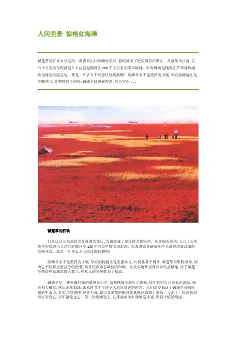 辽宁盘锦旅游：红树林红海滩