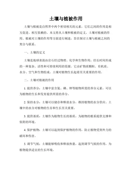 土壤与植被作用