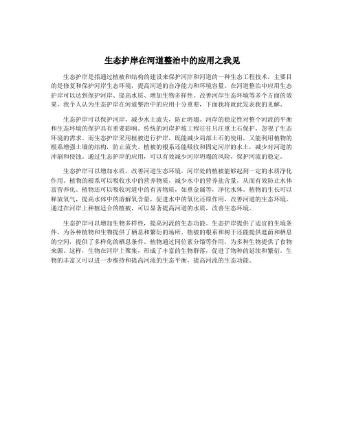 生态护岸在河道整治中的应用之我见