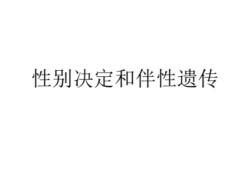 性别决定与伴性遗传--课件--人教版-必修