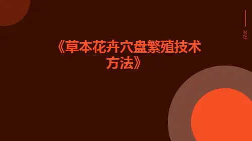 草本花卉穴盘繁殖技术方法