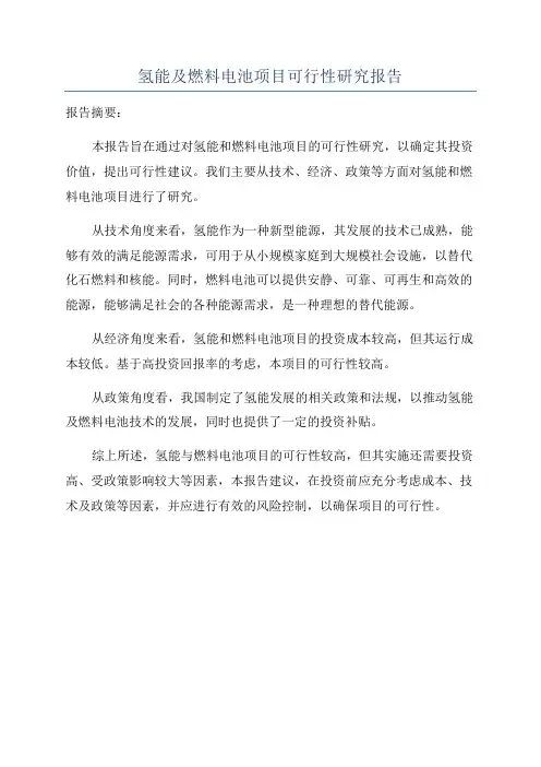 氢能及燃料电池项目可行性研究报告