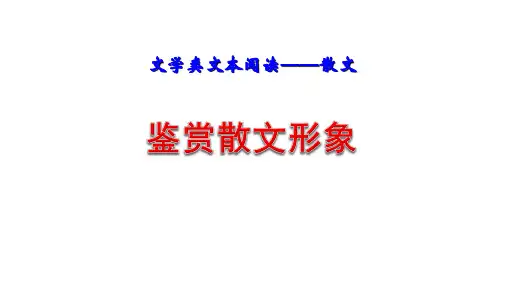 2023届高中语文一轮复习之赏析散文中的形象课件
