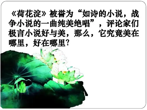 《荷花淀》ppt课件