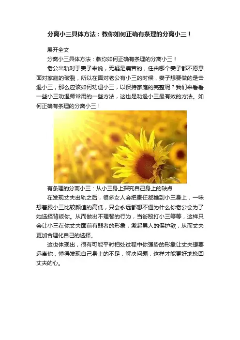 分离小三具体方法：教你如何正确有条理的分离小三！