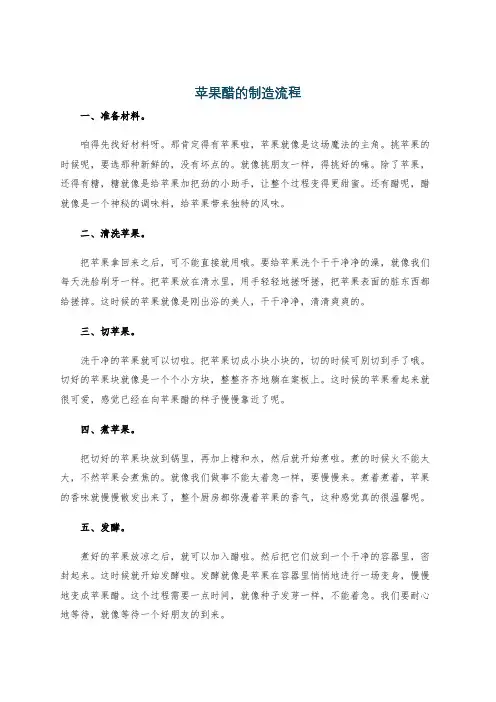 苹果醋的制造流程