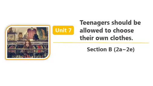 人教版九年级英语 Unit 7 Section B Section B (2a~2e) 精品课件