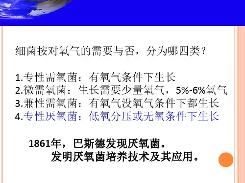 2913.0医学微生物学厌氧性细菌概述