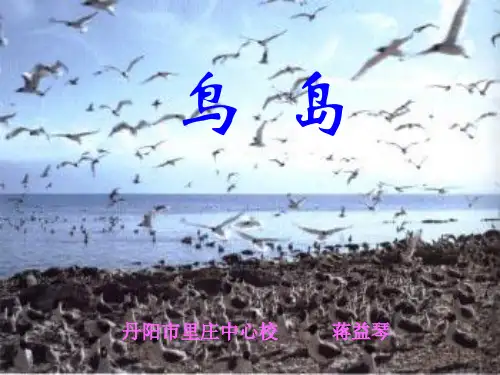 鸟岛PPT优质课件