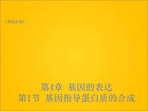 基因的表达课件