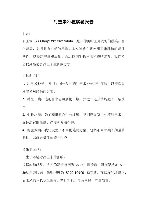 甜玉米种植实验报告