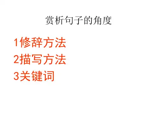 魏巍《我的老师》ppt课件4