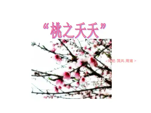诗经.桃夭实用教案-PPT文档资料