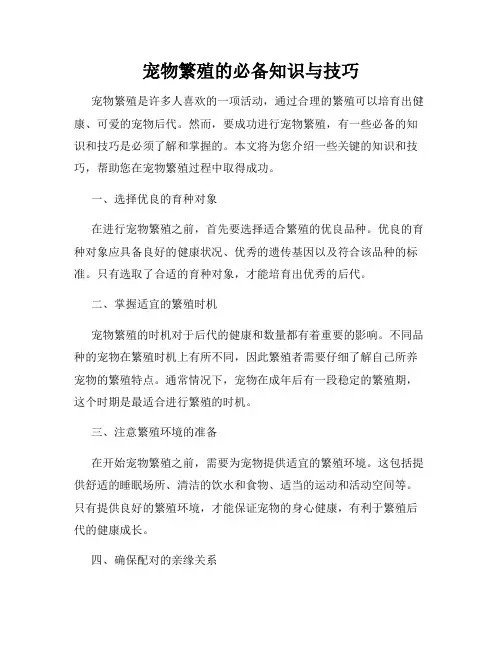 宠物繁殖的必备知识与技巧