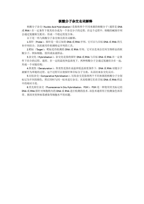 核酸分子杂交名词解释