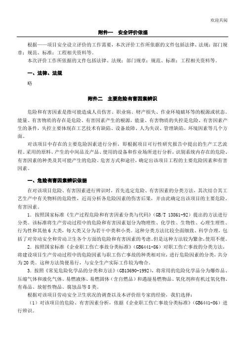 有机硅项目评价报告(二)
