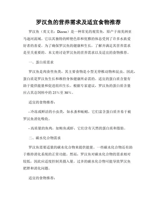 罗汉鱼的营养需求及适宜食物推荐