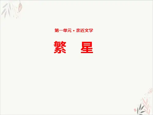 繁星ppt课件(完美版)