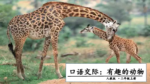 最新部编版二年级语文上册《口语交际：有趣的动物》(共12张PPT)精品精品教学课件